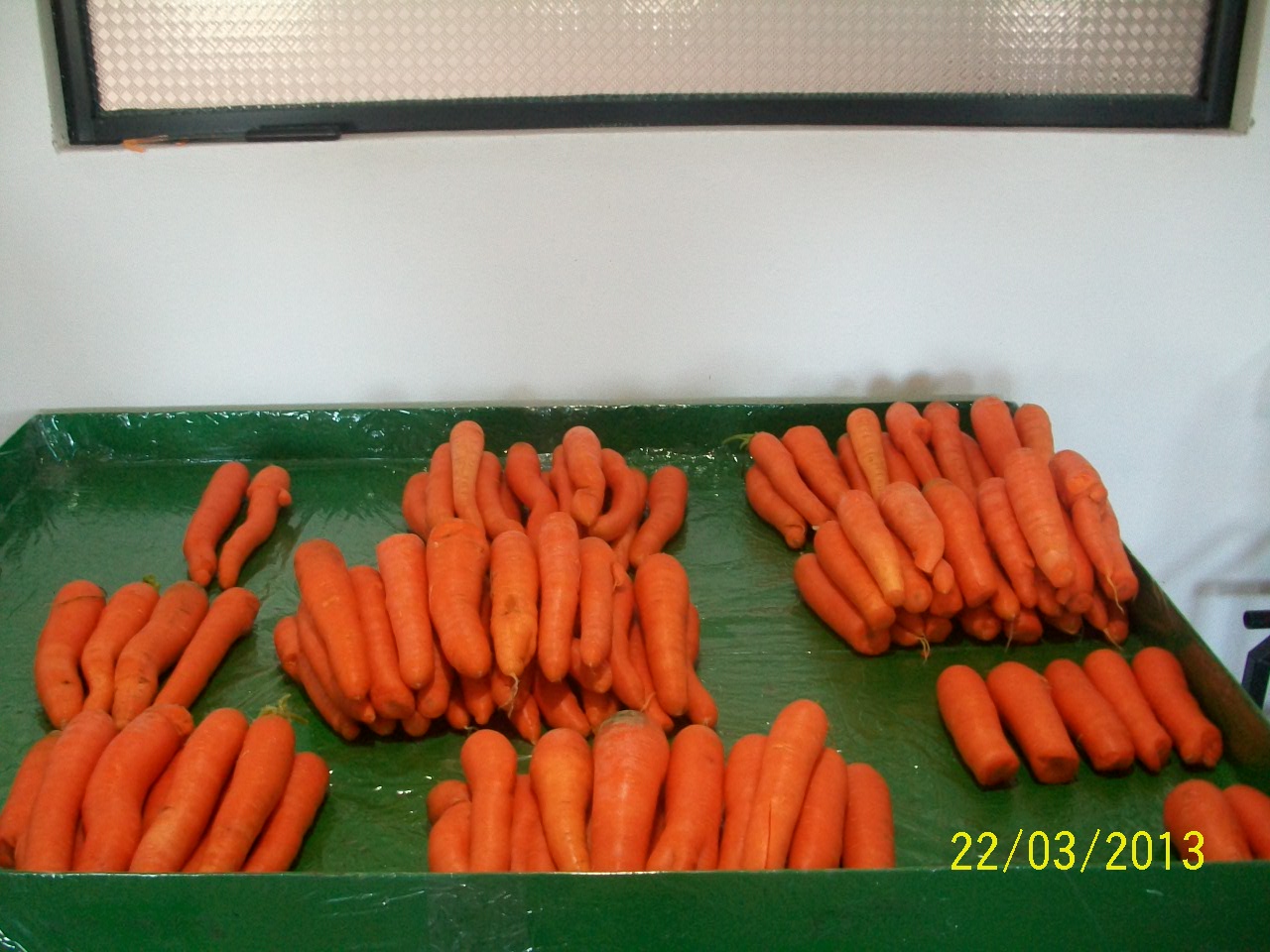 Carrots-02-5-Bag