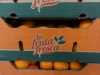 Fruta-Fresca-02
