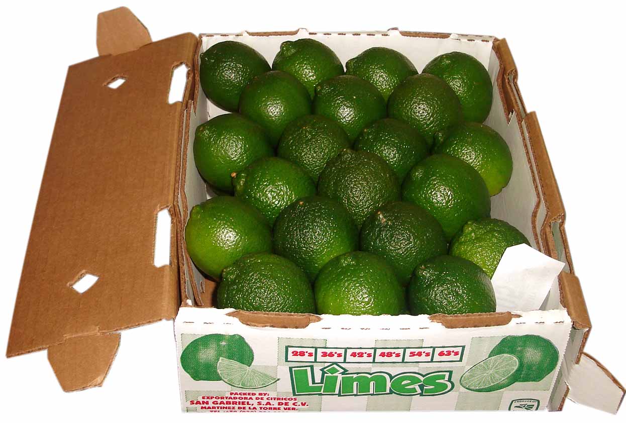 Limes 10 oct
