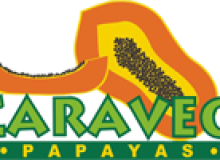 Caraveo Papayas